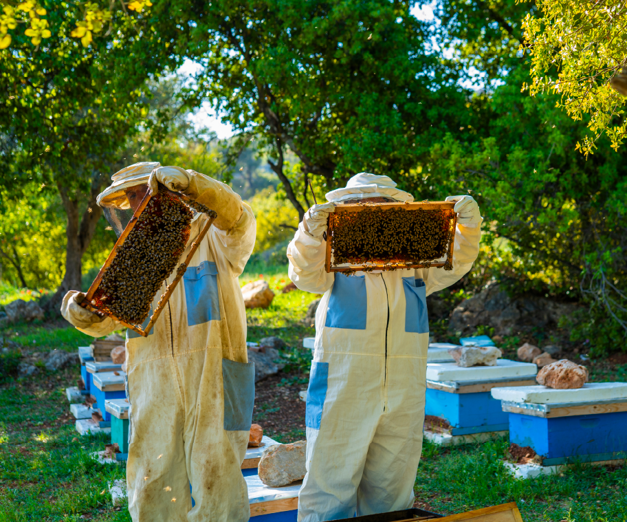 Real moments from Manahil Beesan Farm